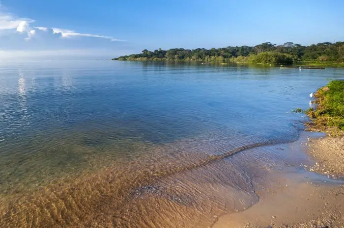Lake Victoria, The Economic Lifeline of East Africa