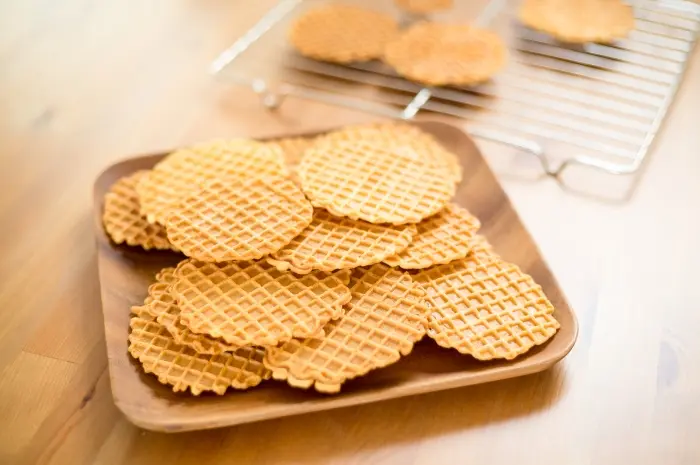 Typical Dutch Foods That Are Famously Delicious and Must-Try